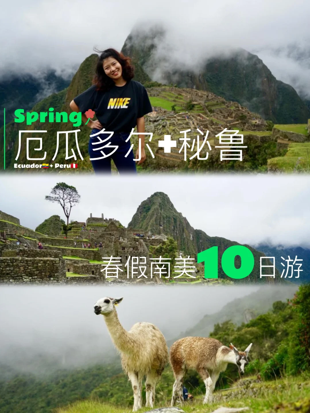 爱游戏官网-厄瓜多尔不敌秘鲁，出线形势岌岌可危的简单介绍