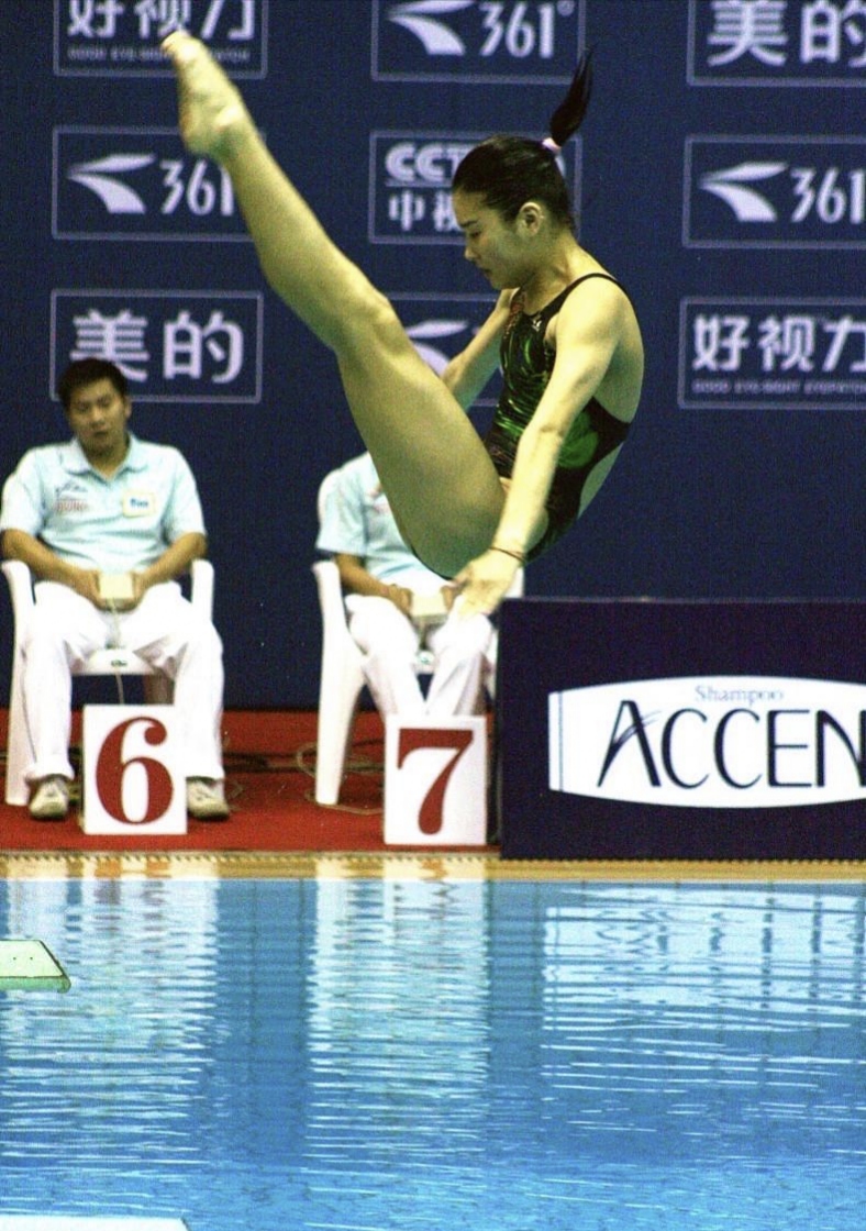 爱游戏-精品跳水表演令人惊叹，评委欣喜称赞的简单介绍