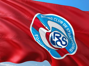 爱游戏网页版入口-帕尔梅拉斯赛前发布会：全队信心满满迎战卡尔蒂斯